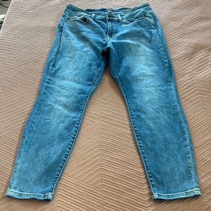 EUC Judy Blue 18w slim fit
